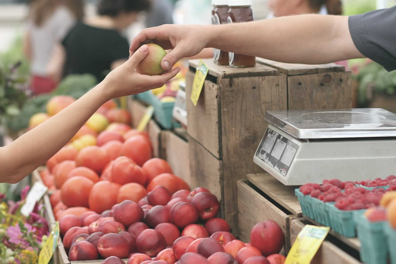 10 AGOSTO 2024 - mercato agricolo e non solo