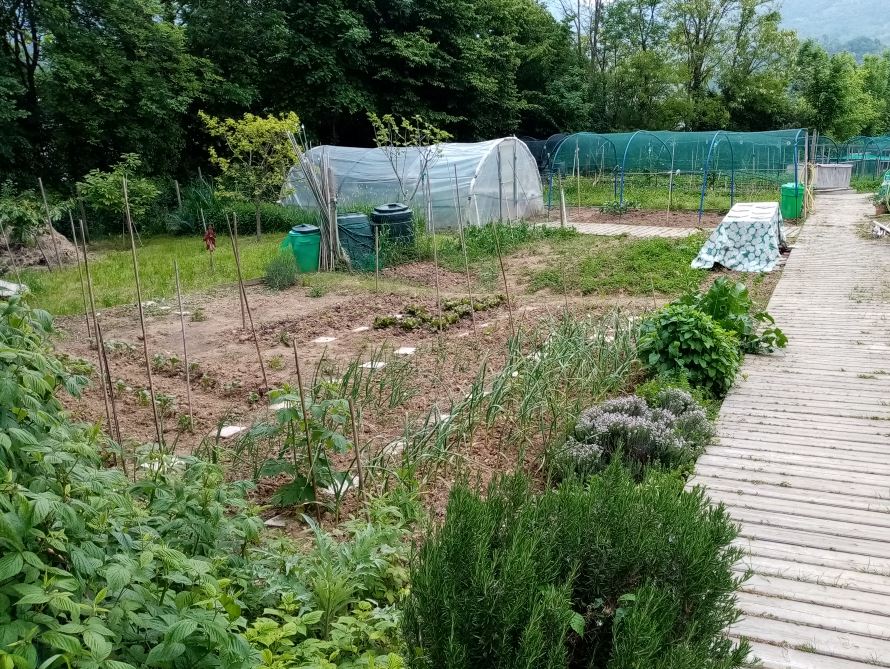 Corso di floricoltura  - giardinaggio - orticoltura