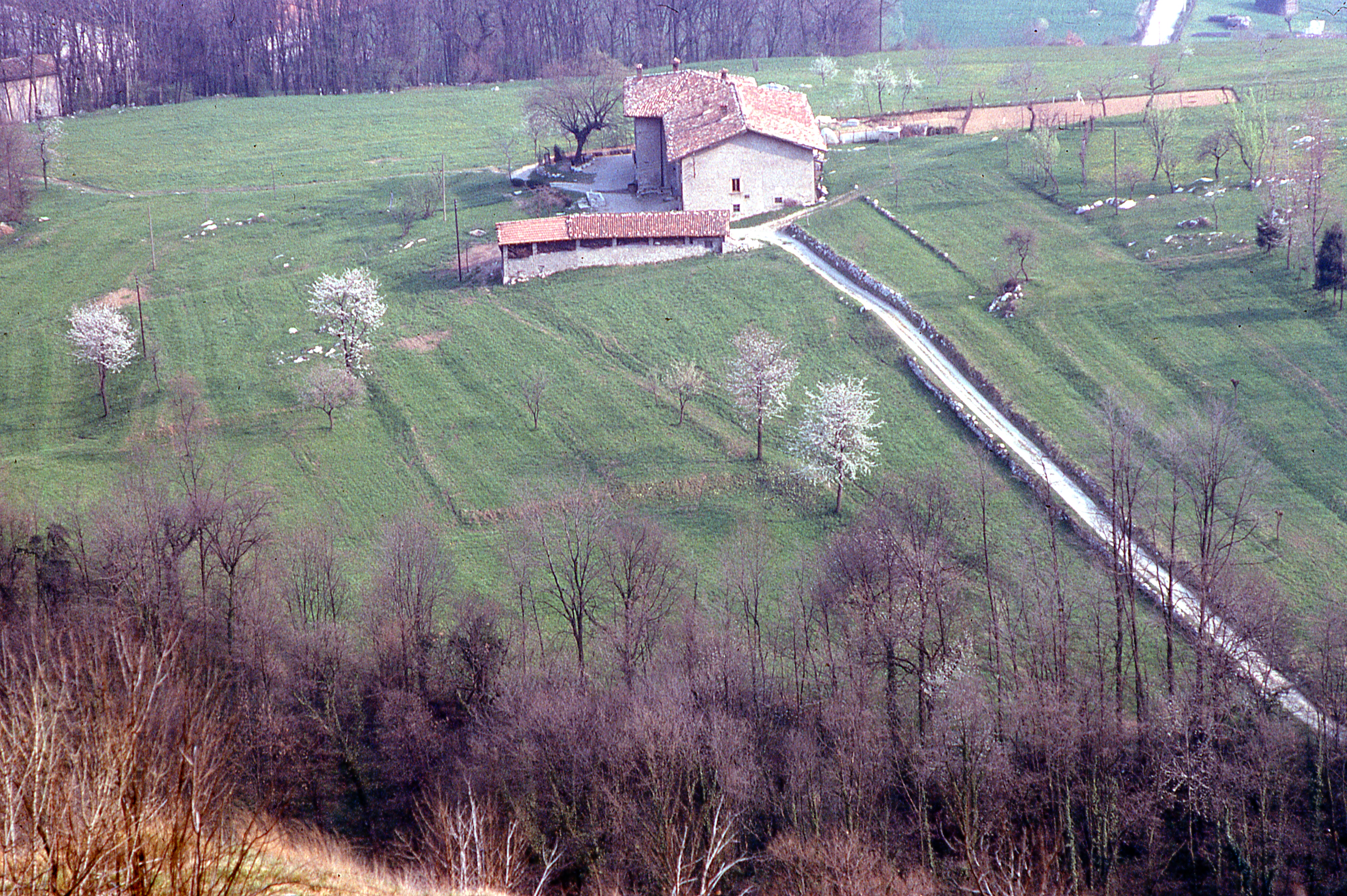 I rumori notturni in Piazzo