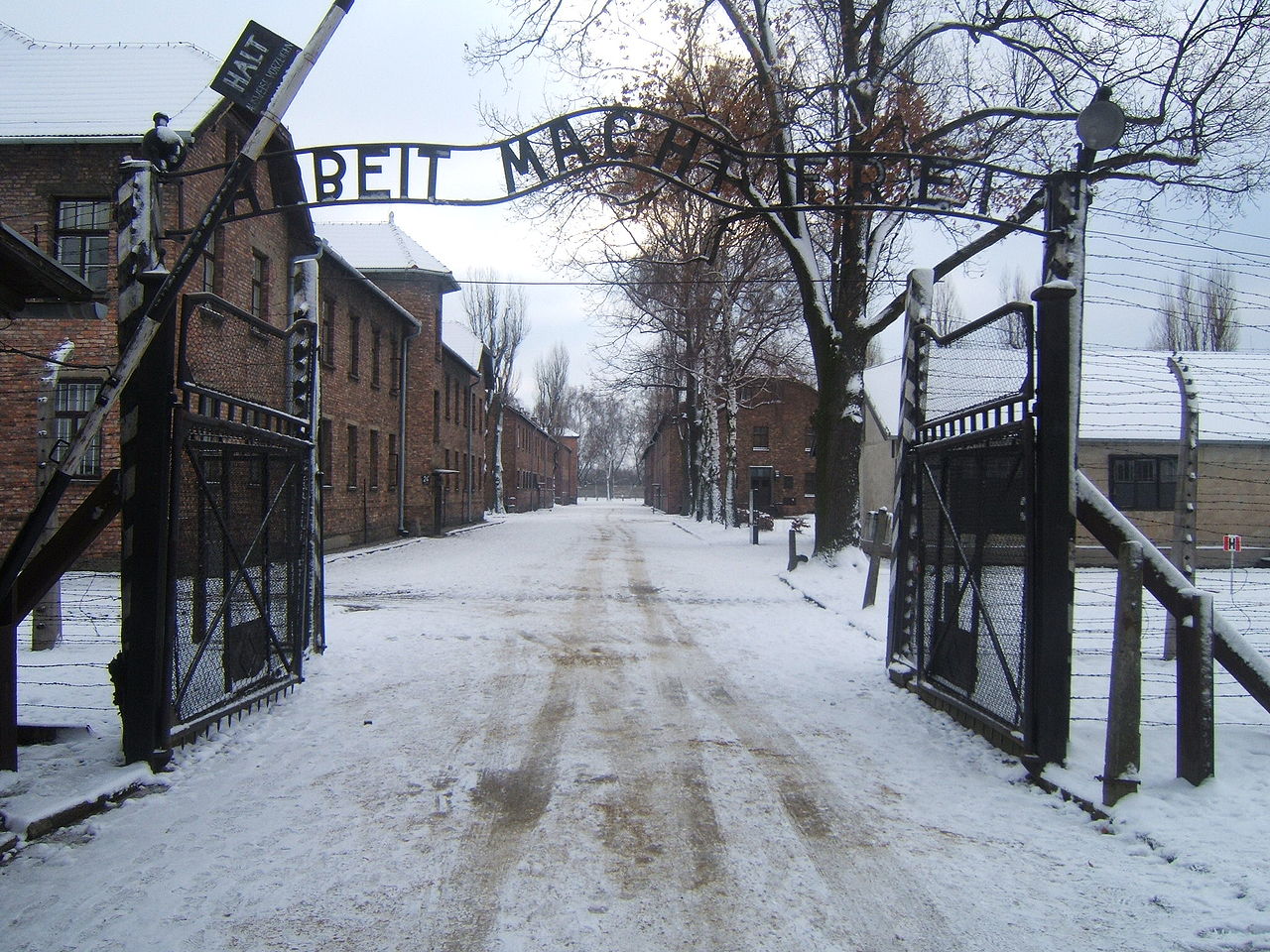 Dal campo di calcio ad Auschwitz. 