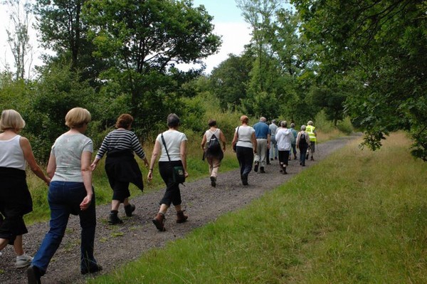 Marzo - Gruppo in cammino